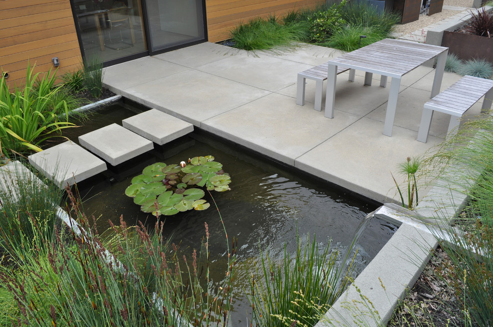 This is an example of a contemporary garden in San Francisco with a water feature.