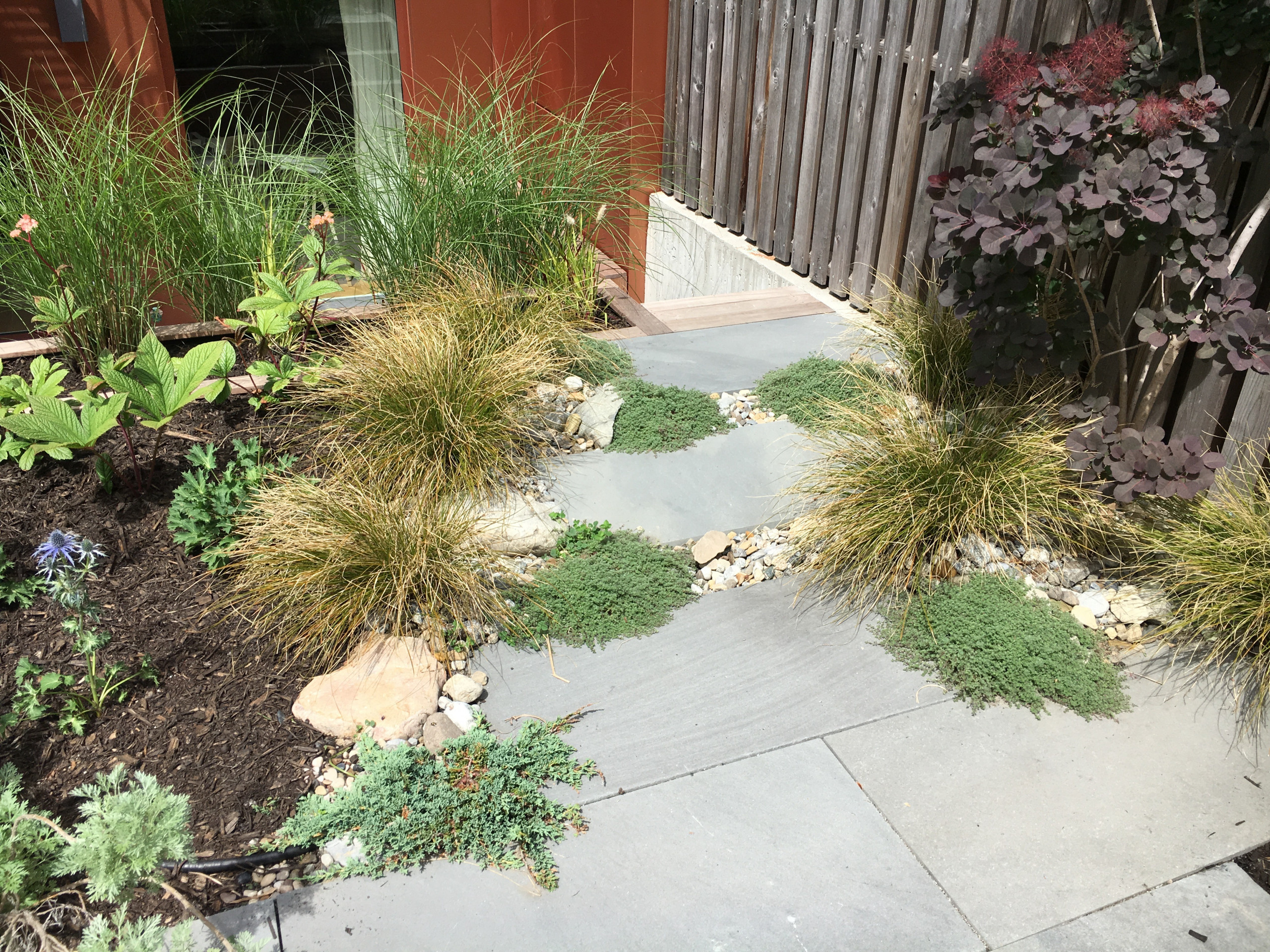 Modern Garden with Curved Corten Border