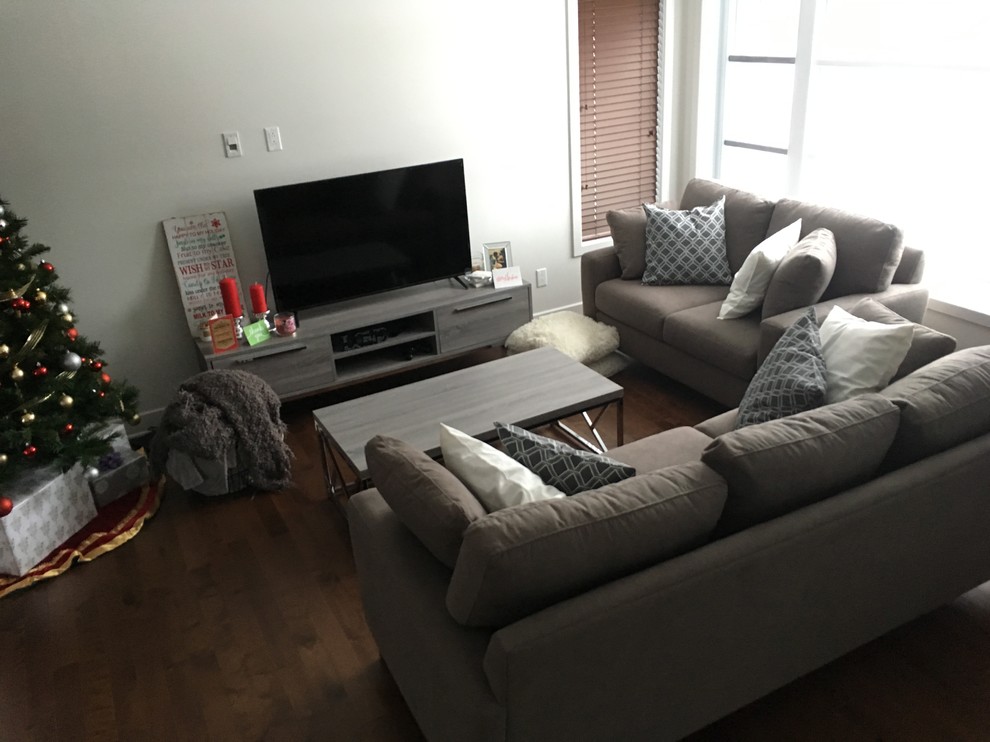 What type of rug and color rug should we get?