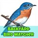 Backyard Bird Watcher