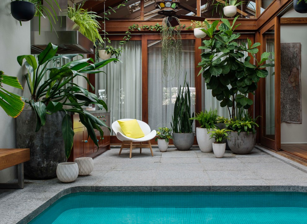 This is an example of a small industrial courtyard shaded garden in Sydney with a container garden and concrete pavers.
