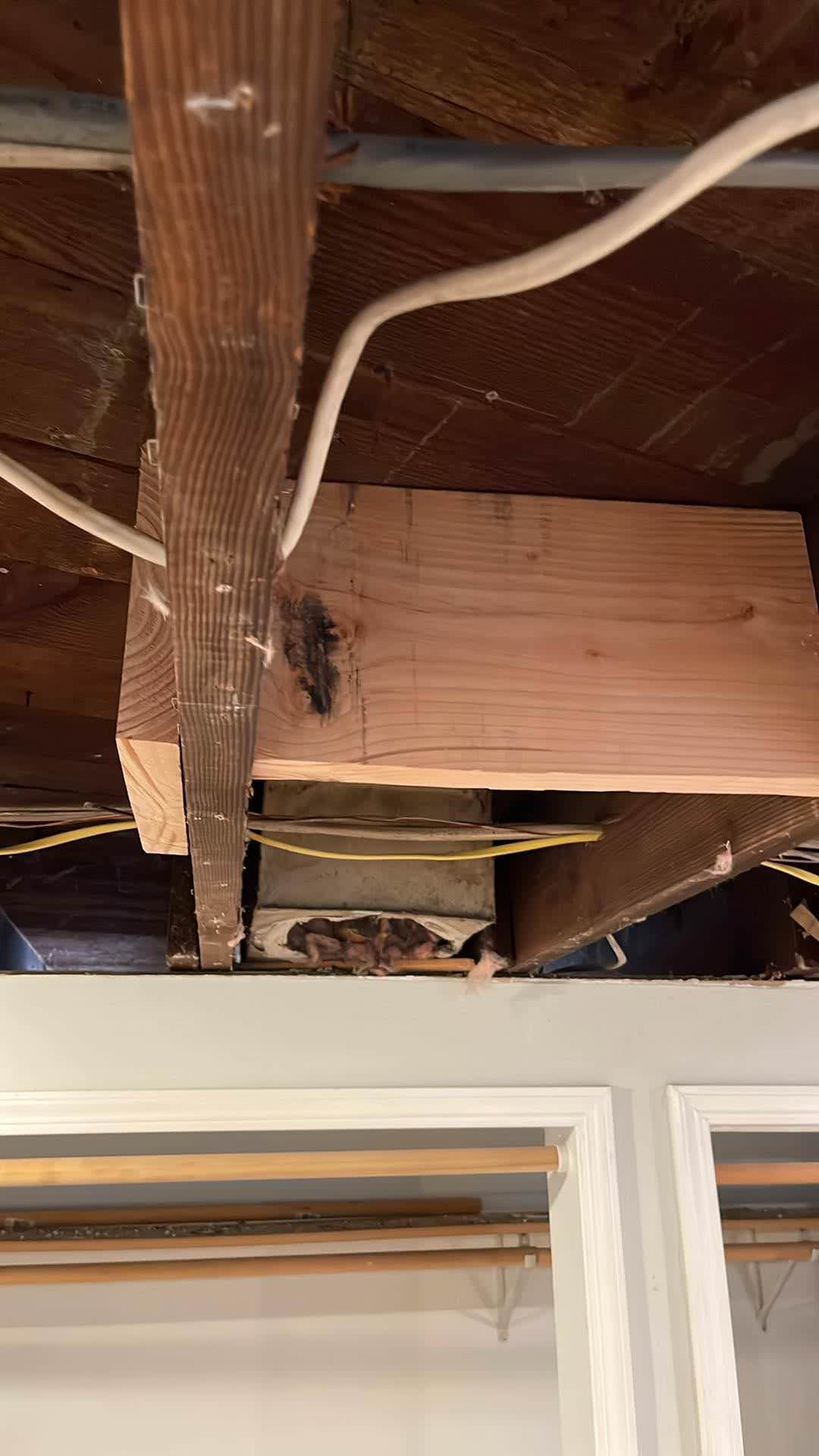 Seattle Home Renovation