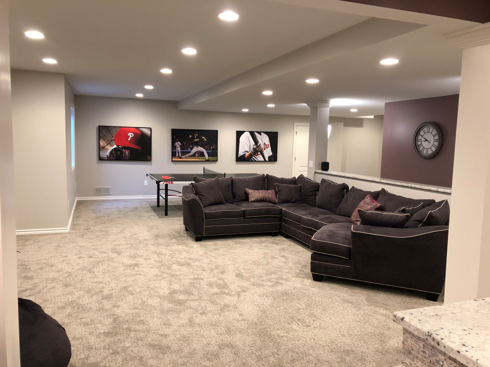 Example of a transitional basement design in Detroit