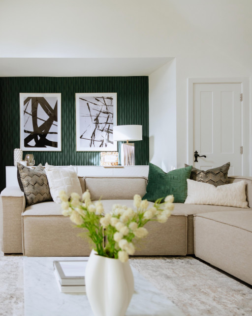 PROJECT BELIEVE contemporary-living-room