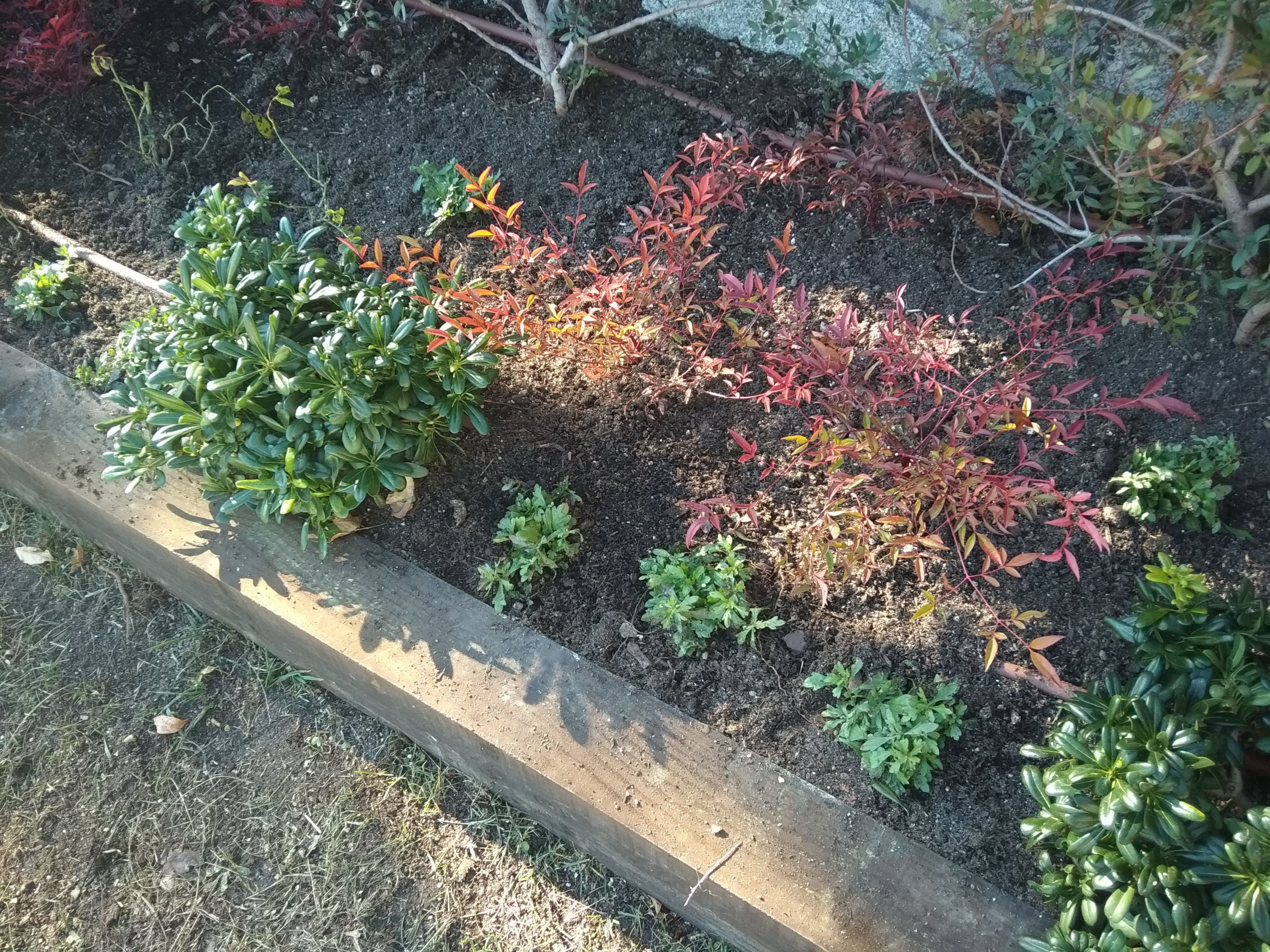 Dando color a viejos jardines