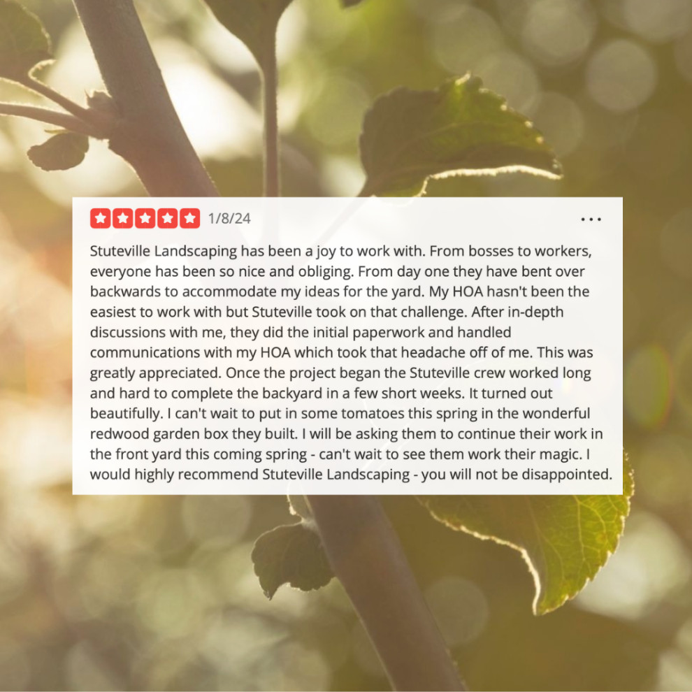 Reviews