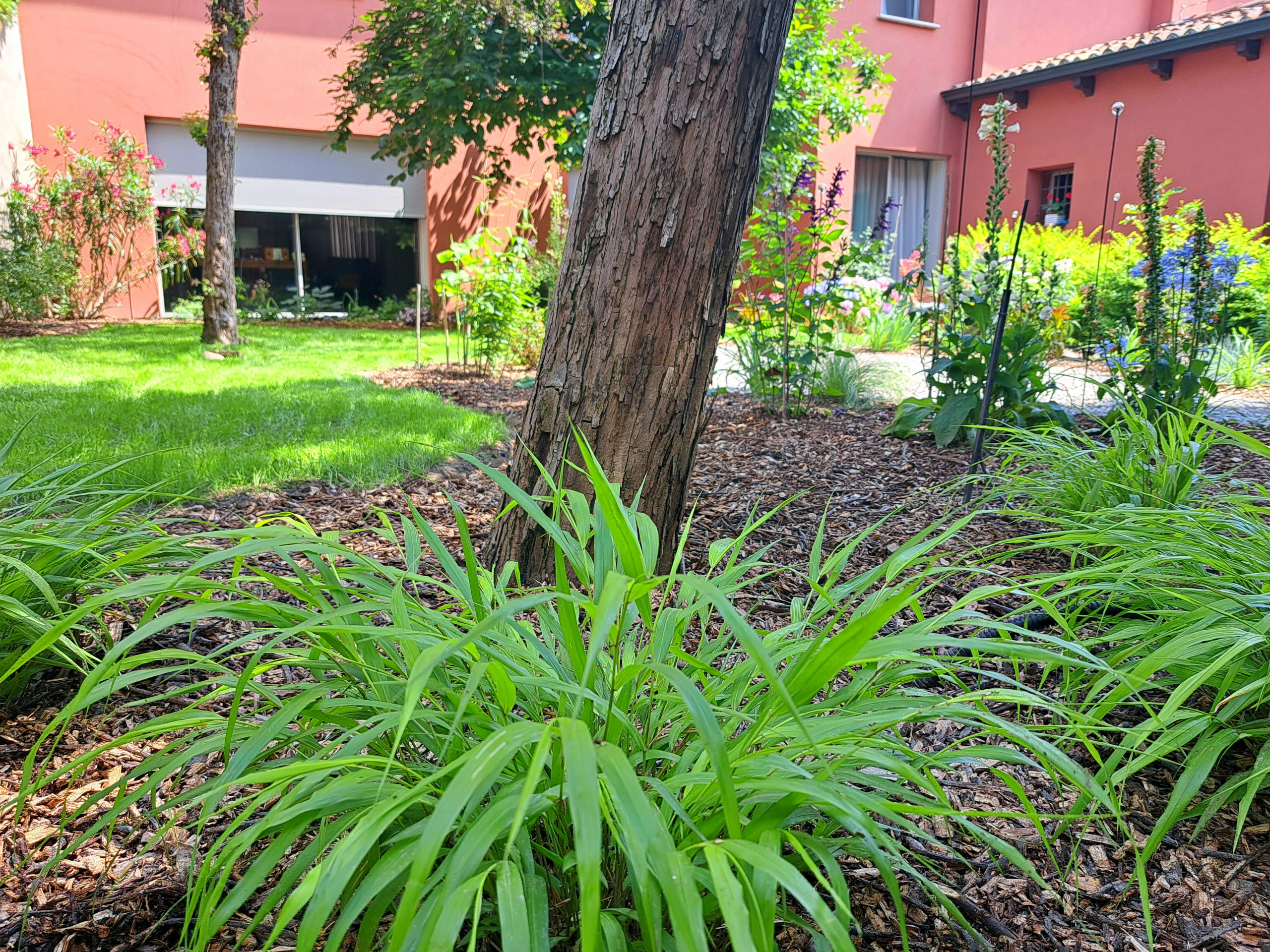 Giardino privato P.S.