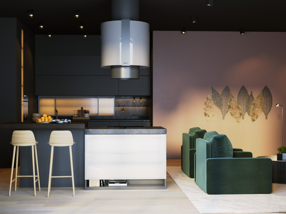 СОВРЕМЕННОЕ ПРОСТРАНСТВО КУХНИ- ГОСТИНОЙ