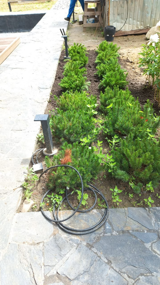 Landscape design of the territory (Moscow region)