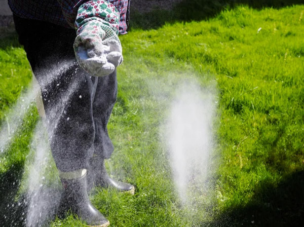 lawn fertilization dallas TX