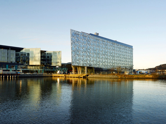 Черное и голубое