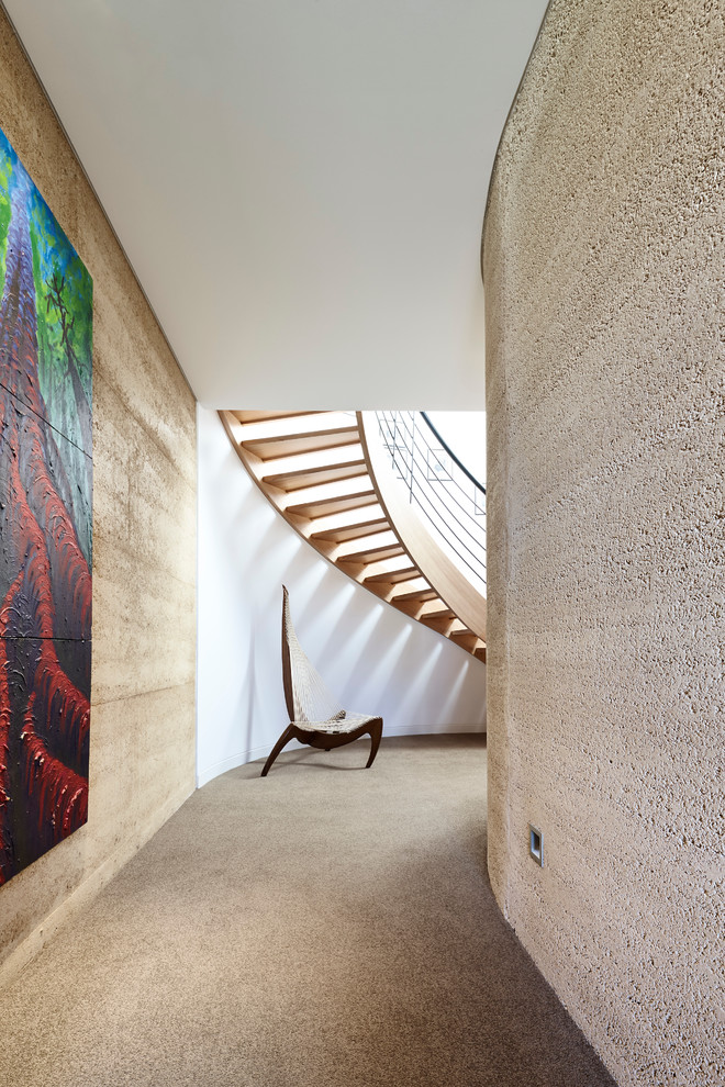 Inspiration for a mid-sized contemporary hallway in Melbourne with carpet and white walls.