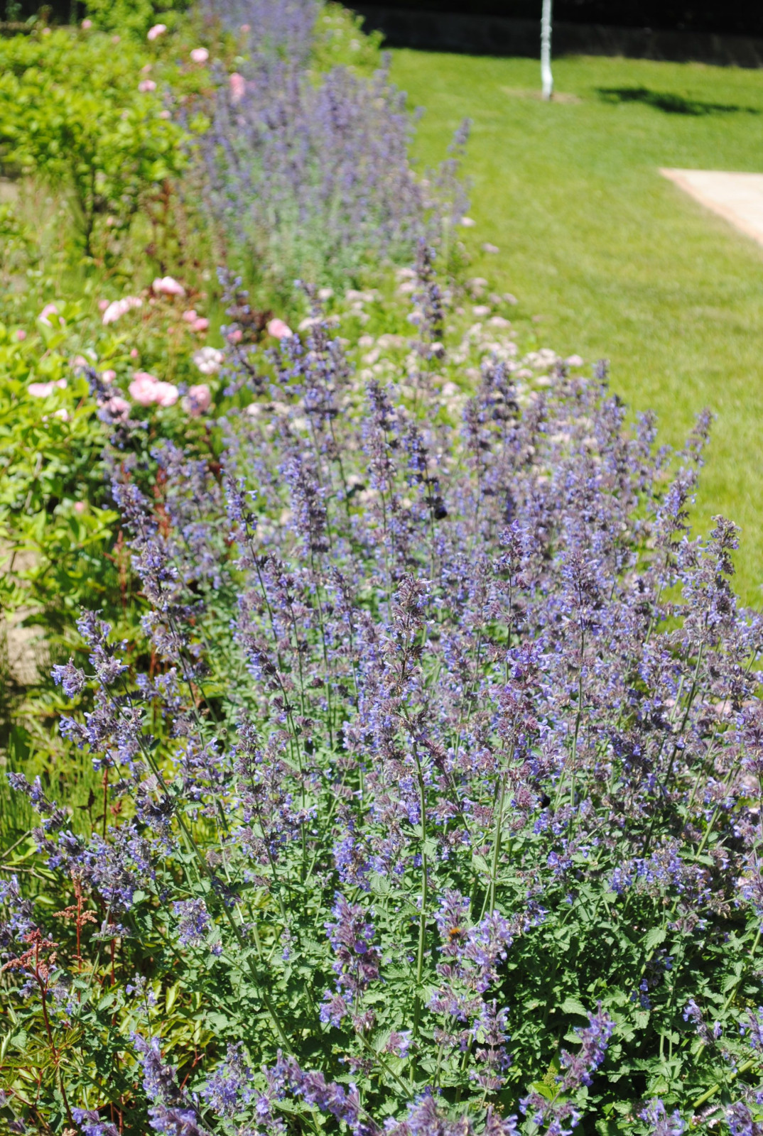 КП Зеленый мыс