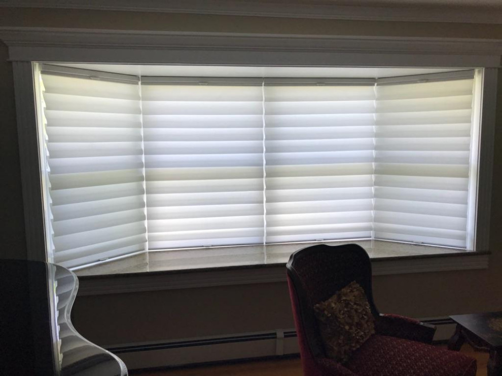 Alustra Vignette Modern Roman Shade
