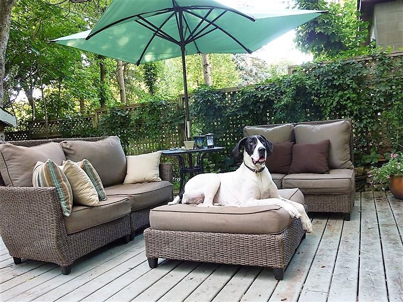 Deck - transitional deck idea in Toronto