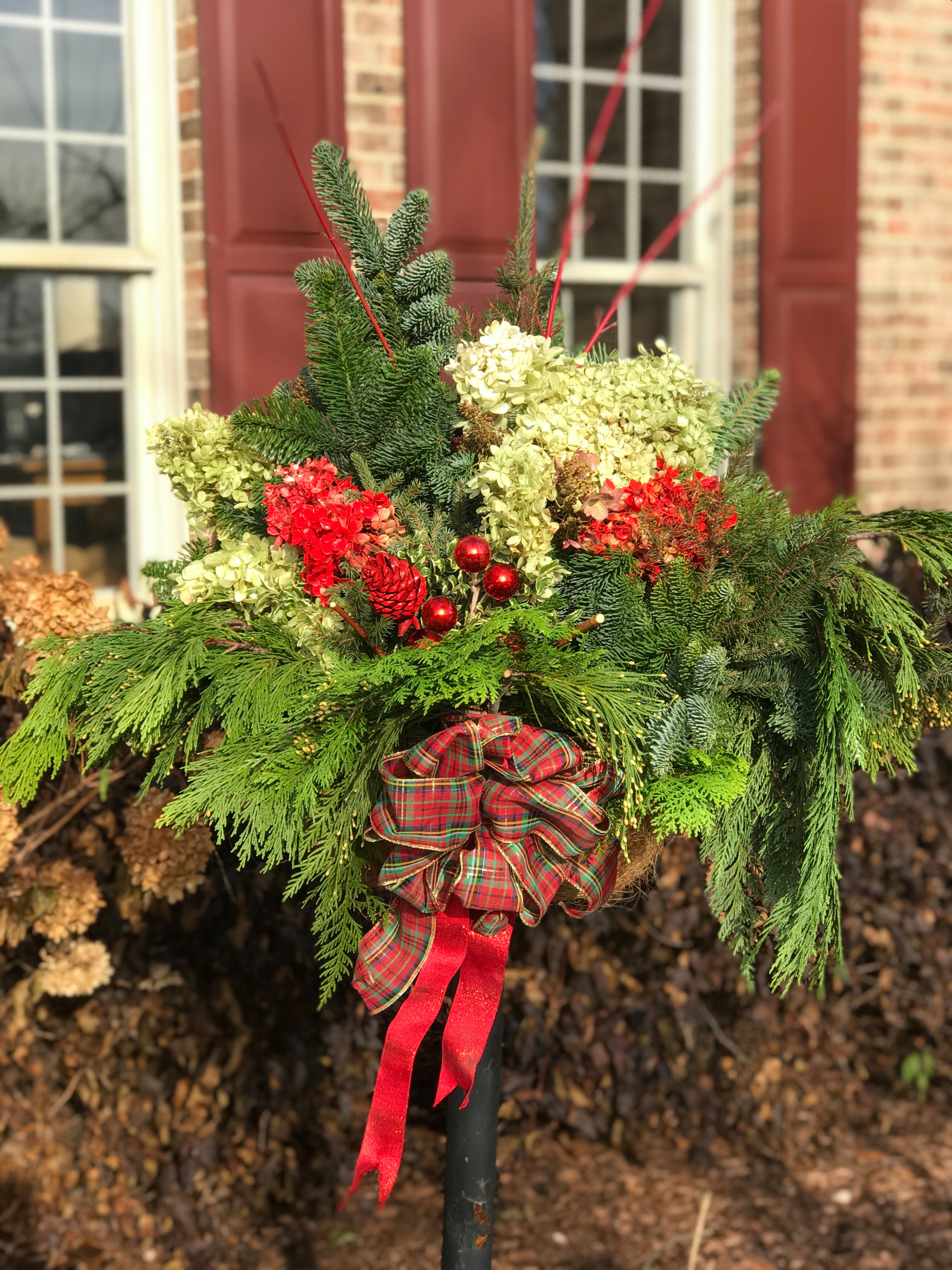 Winter containers and Holiday Decorations