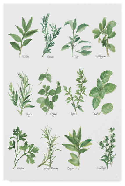 Herb Chart
