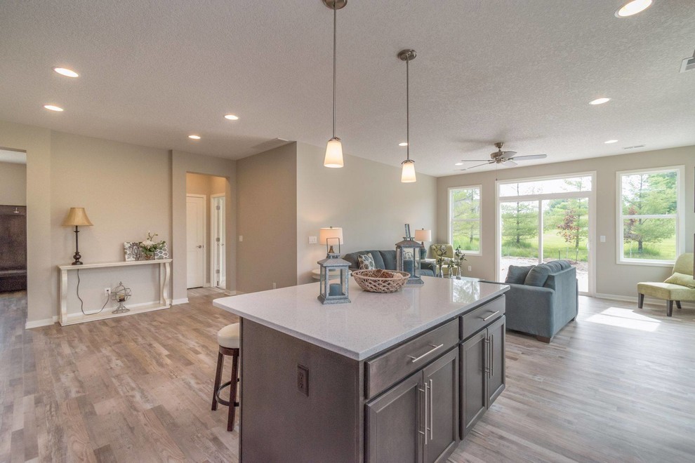 Kitchen - transitional kitchen idea