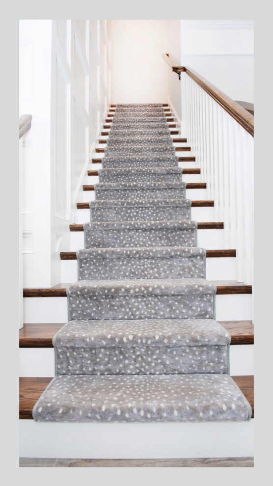 Mid-sized transitional carpeted straight staircase in Tampa with carpet risers, wood railing and panelled walls.