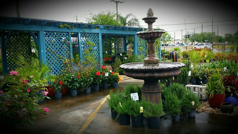 Texas Best Nursery Revitalization