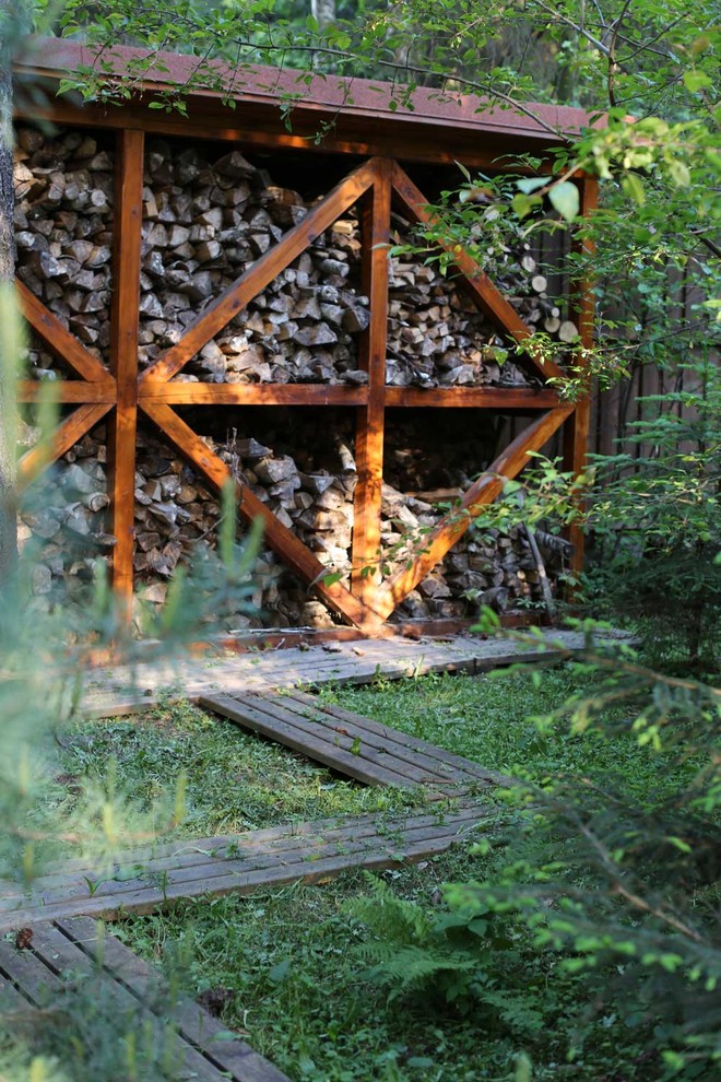 В гостях у леса