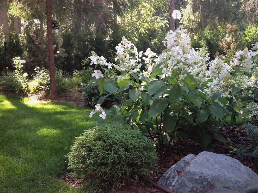 ШЕРВУДСКИЙ ЛЕС