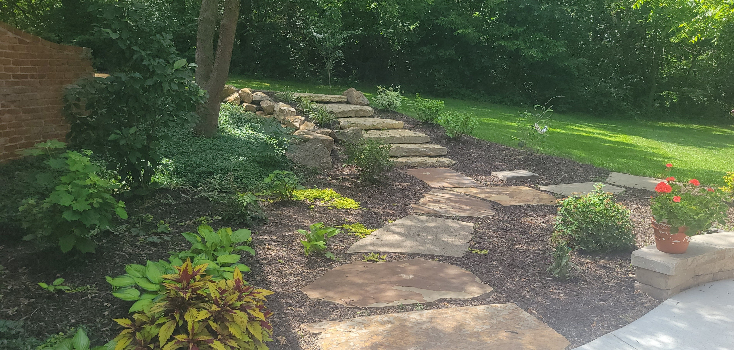 2025 Garden Highlights