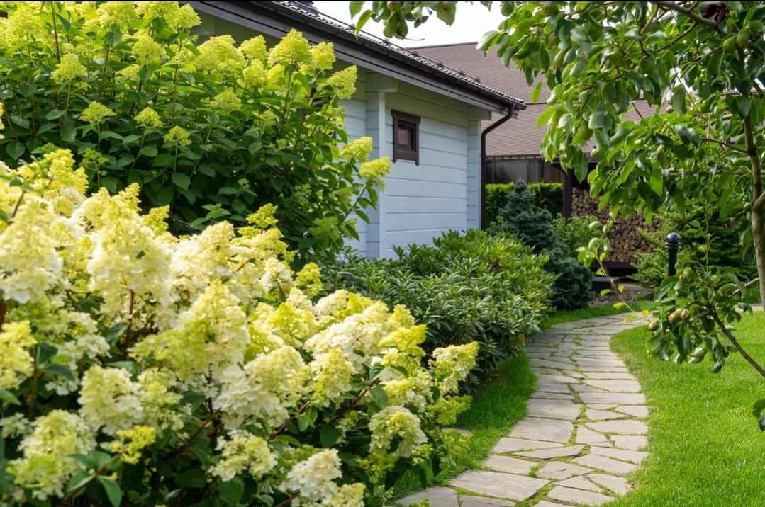 Балтийская Ривьера