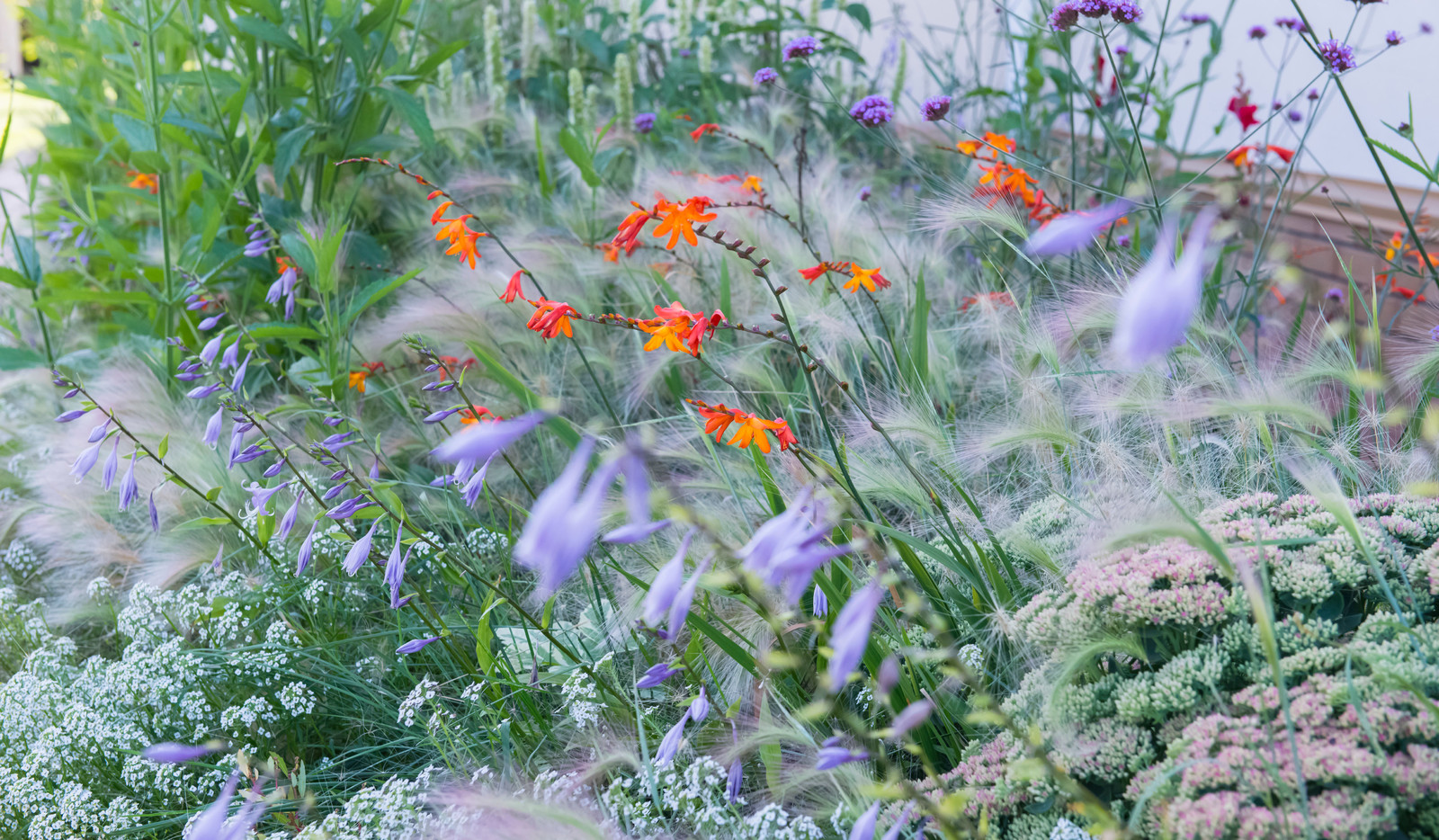 Большой сад в пригороде