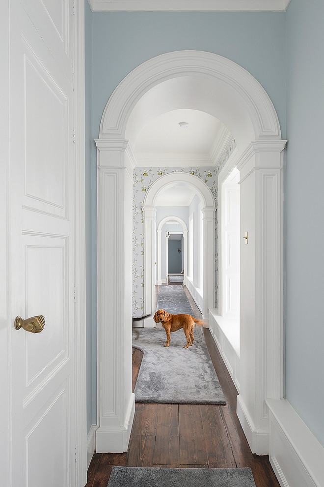 Large traditional hallway in Dublin with blue walls and dark hardwood floors.