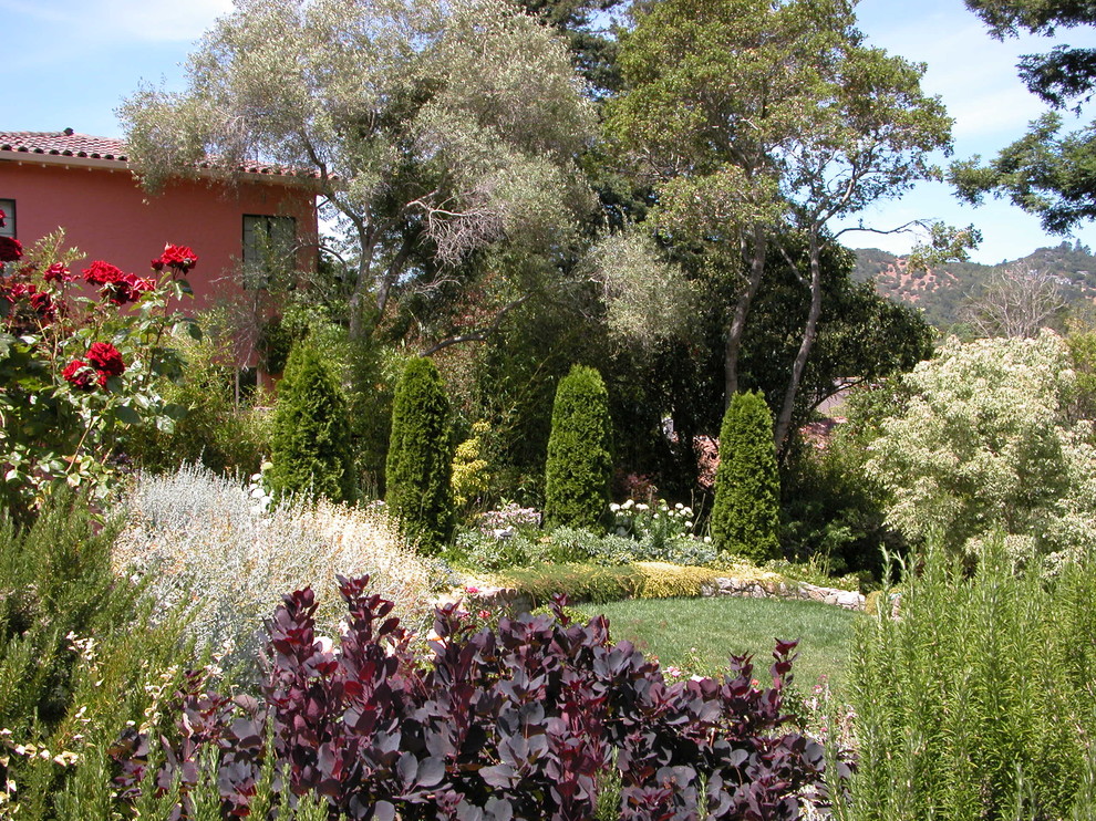 Inspiration for a mid-sized mediterranean backyard formal garden in San Francisco.