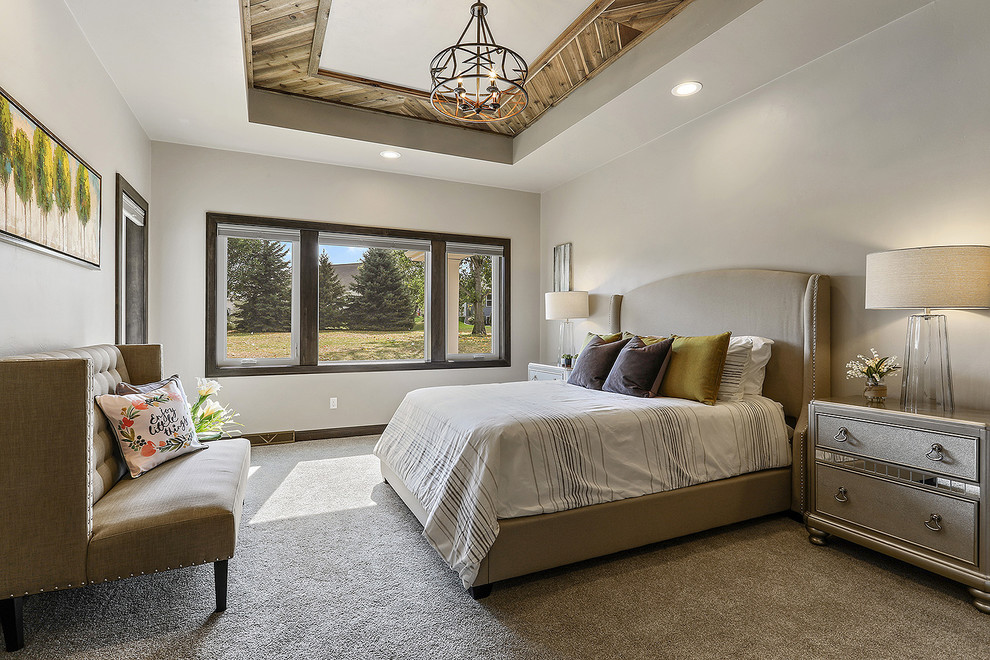 Mid-sized transitional master carpeted and gray floor bedroom photo with gray walls and no fireplace