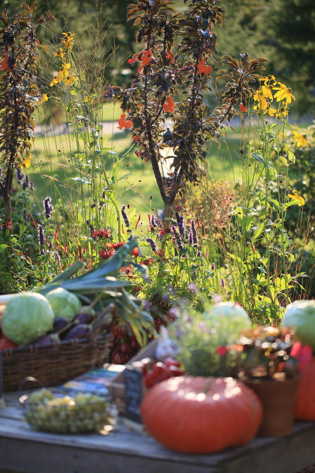 Notre Dame potager et marche