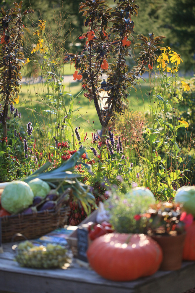 Notre Dame potager et marche