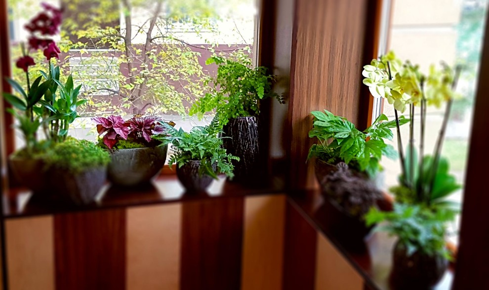 ресторан Аист на Малой Бронной