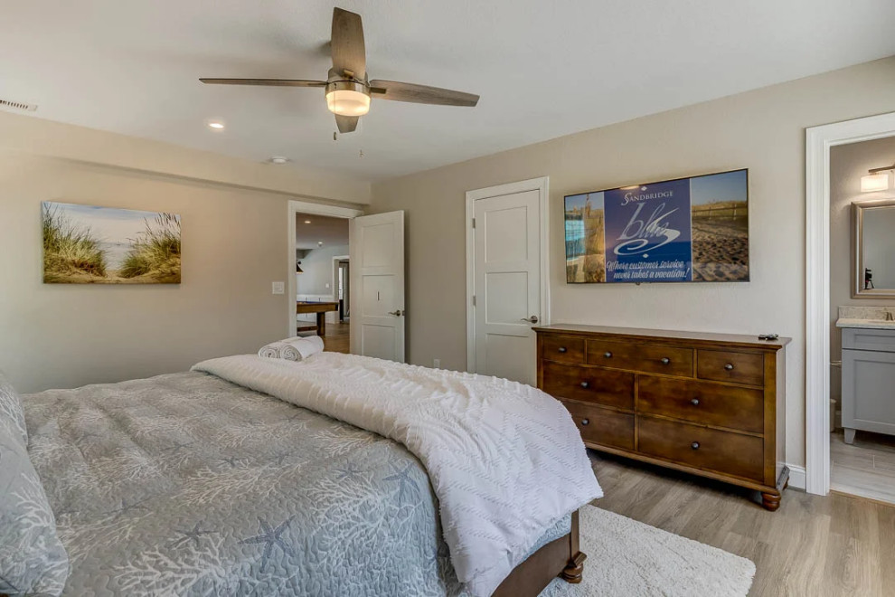 Dolphin Watch (2023)