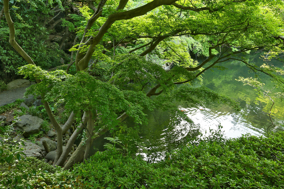 Исторический сад Happoen Garden, Tokyo, Japan