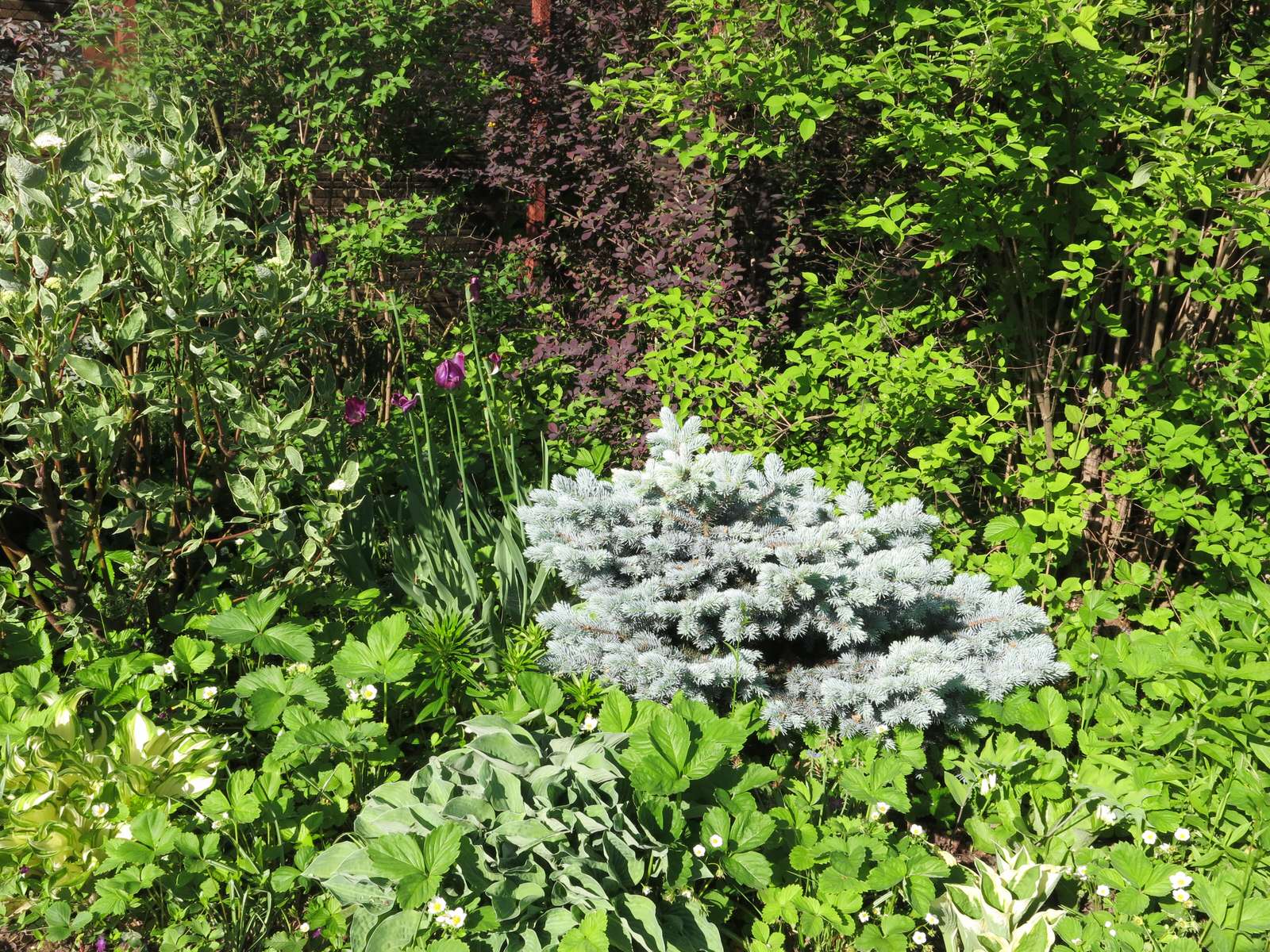 ТЕПЛЫШКО МОЕ. ВЕСНА.