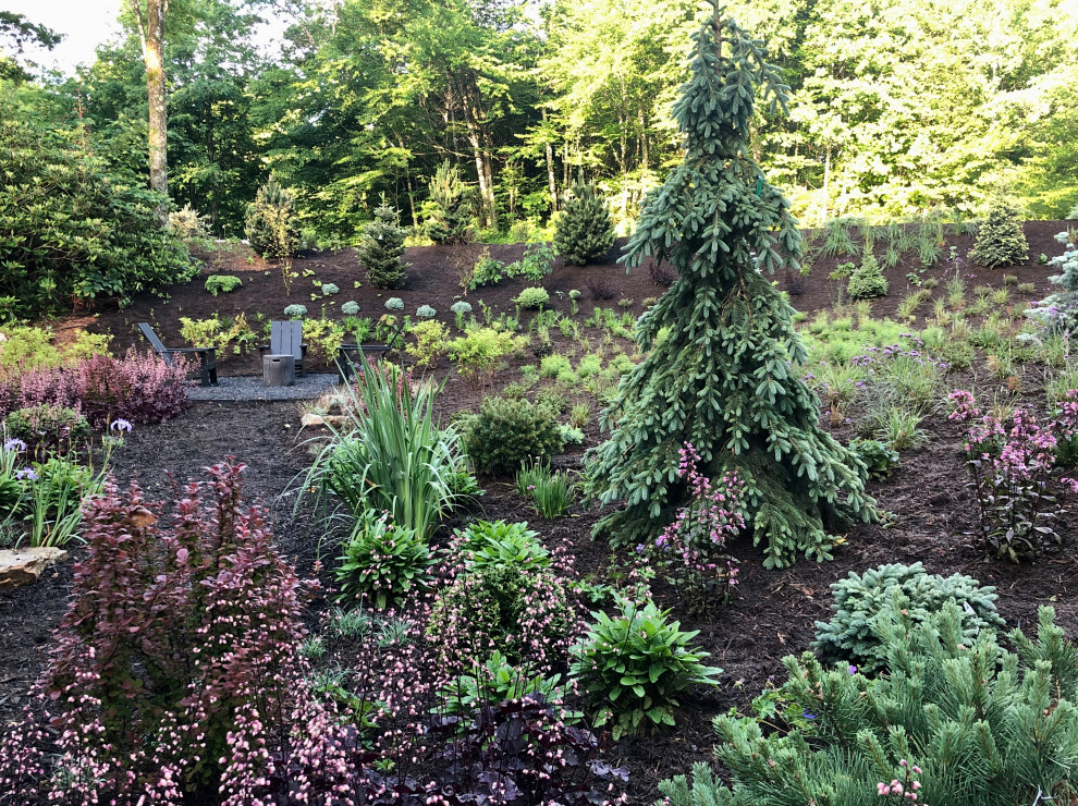 Photo of a contemporary garden in Charlotte.