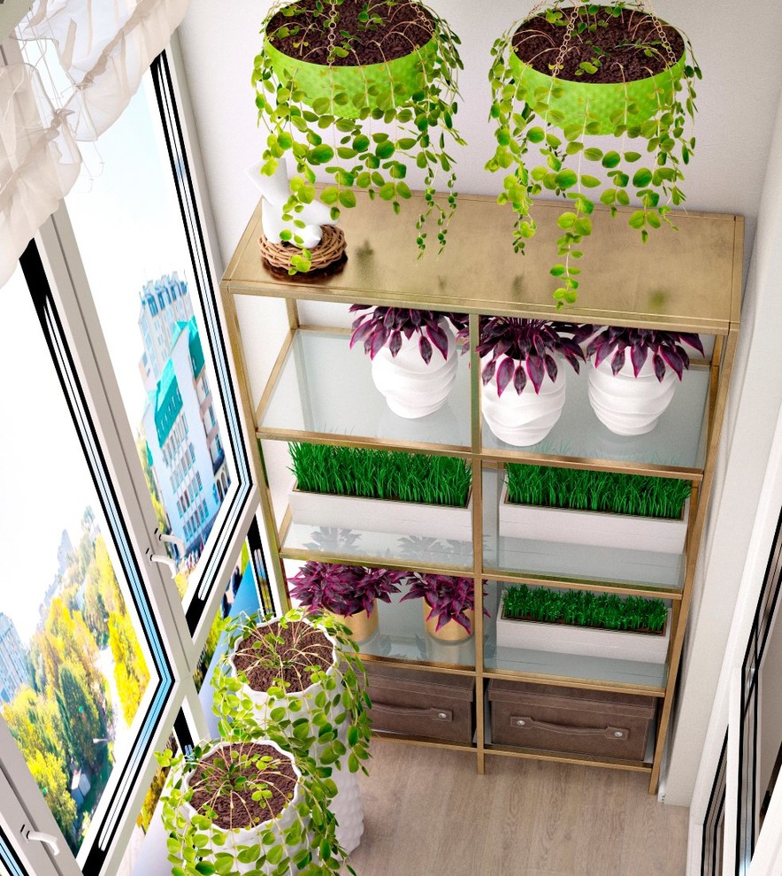 Солнечный бриз