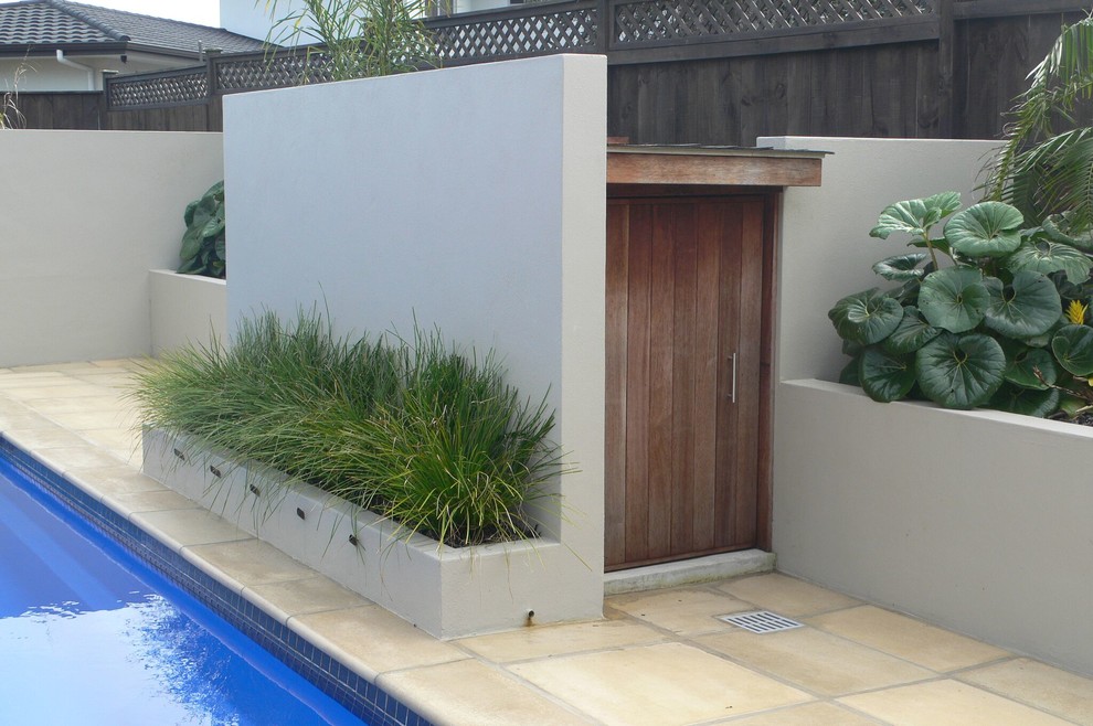 Large tropical side yard garden in Auckland with concrete pavers.