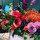 Riverside Bouquet Florist