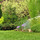 Mystic Lawn Care and Landscape Designs, Inc