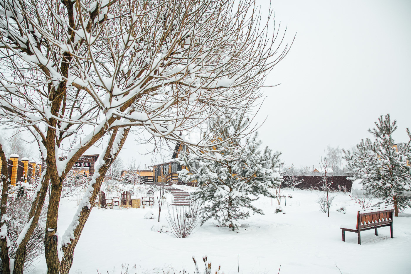 Зимний сад. Ощущение праздника!