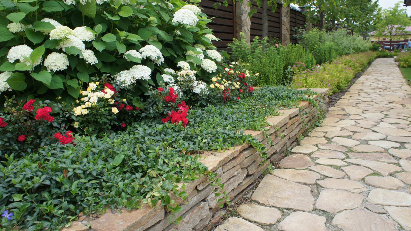 Прохорово лето 2017