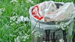 A Bad Wrap: How to Embrace Plastic Bag-Free Shopping