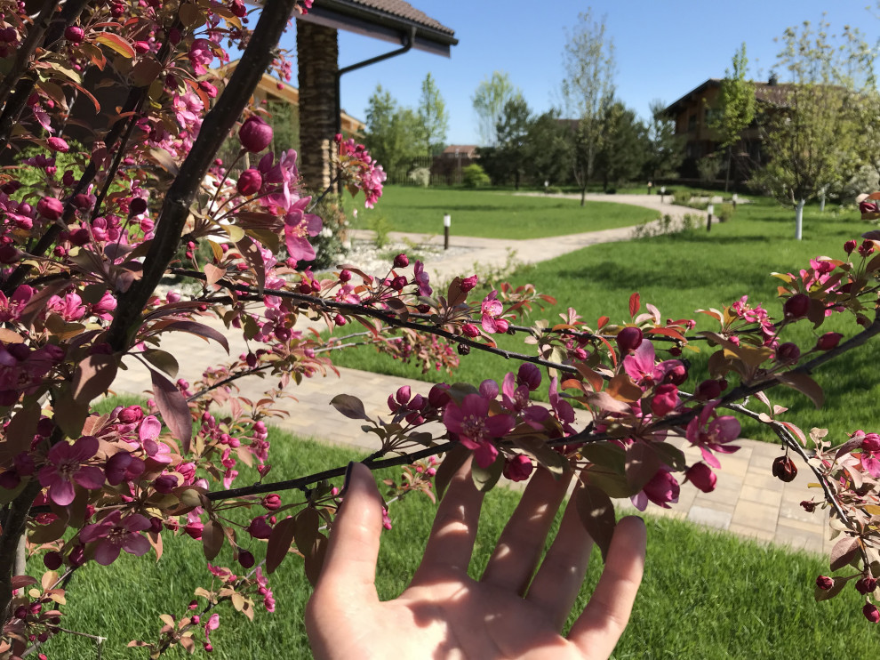 Максим и Наталья