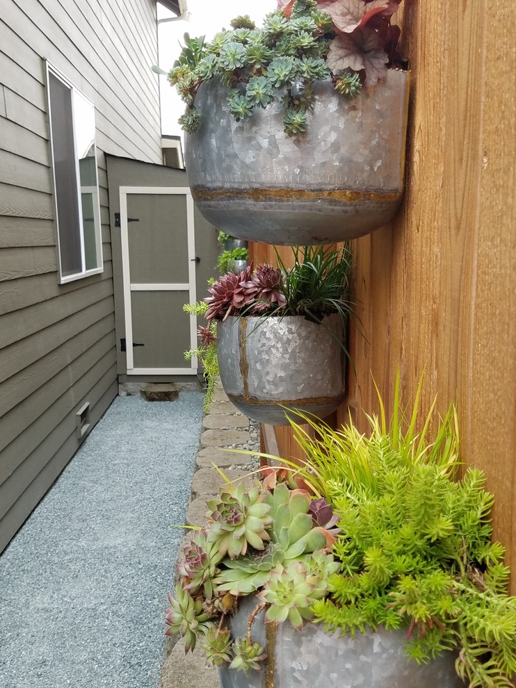 Design ideas for a backyard gravel landscaping in Seattle.