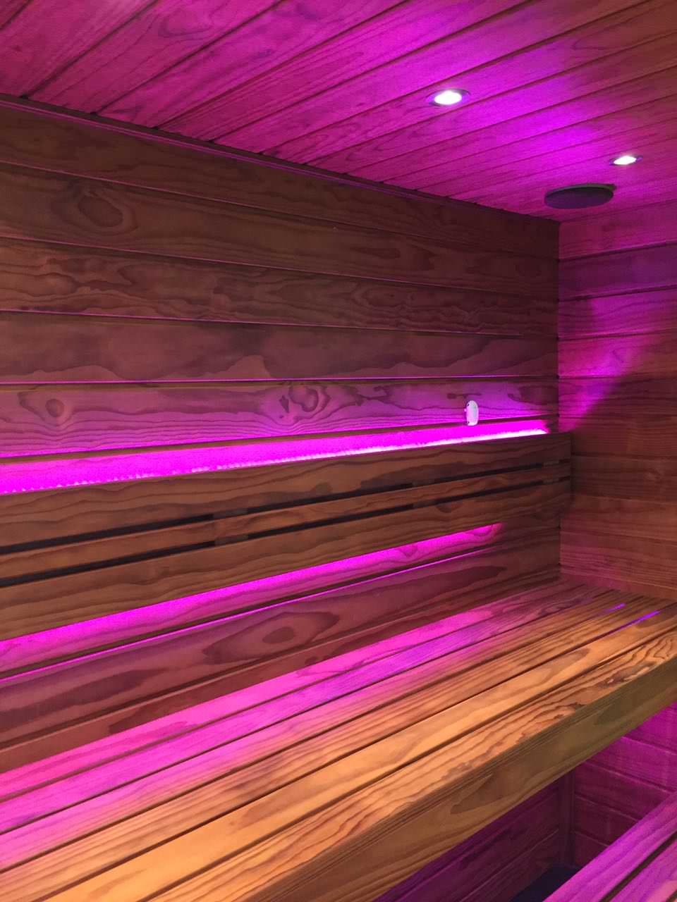 Сауна со стеклянным фасадом