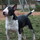phil_boutros